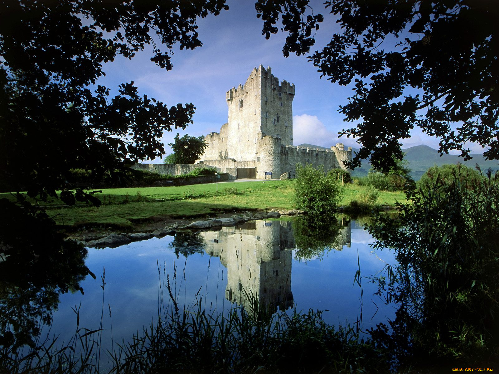 ross, castle, killarney, national, park, ireland, 